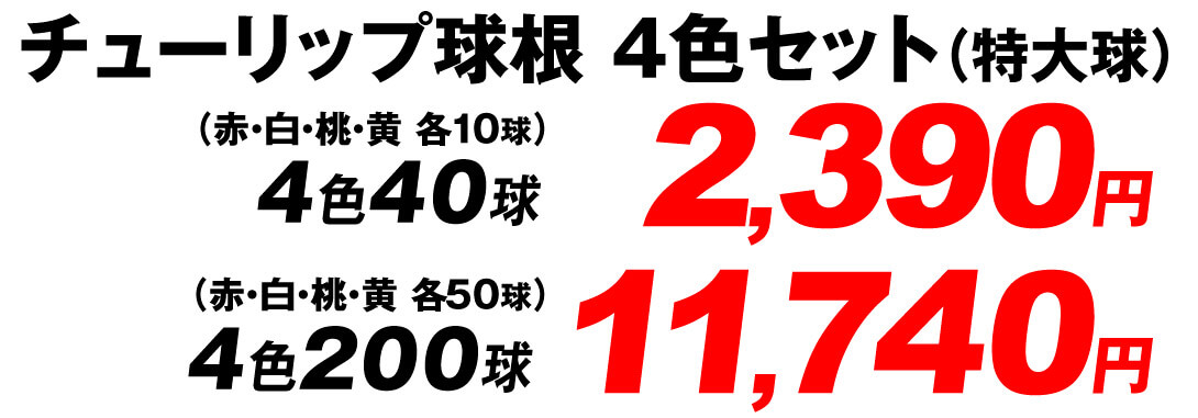 値段