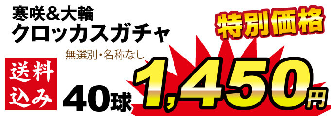 クロッカス値段2280円