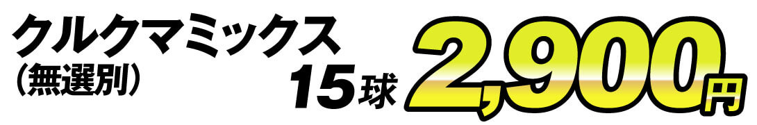 クルクマミックス15球2900円