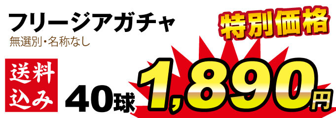 フリージアガチャ値段1890円