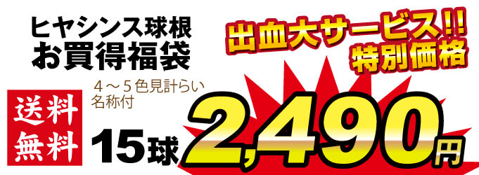 ヒヤシンス福袋価格2490