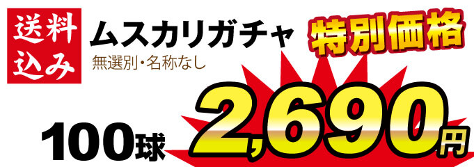 ムスカリガチャ 100球値段