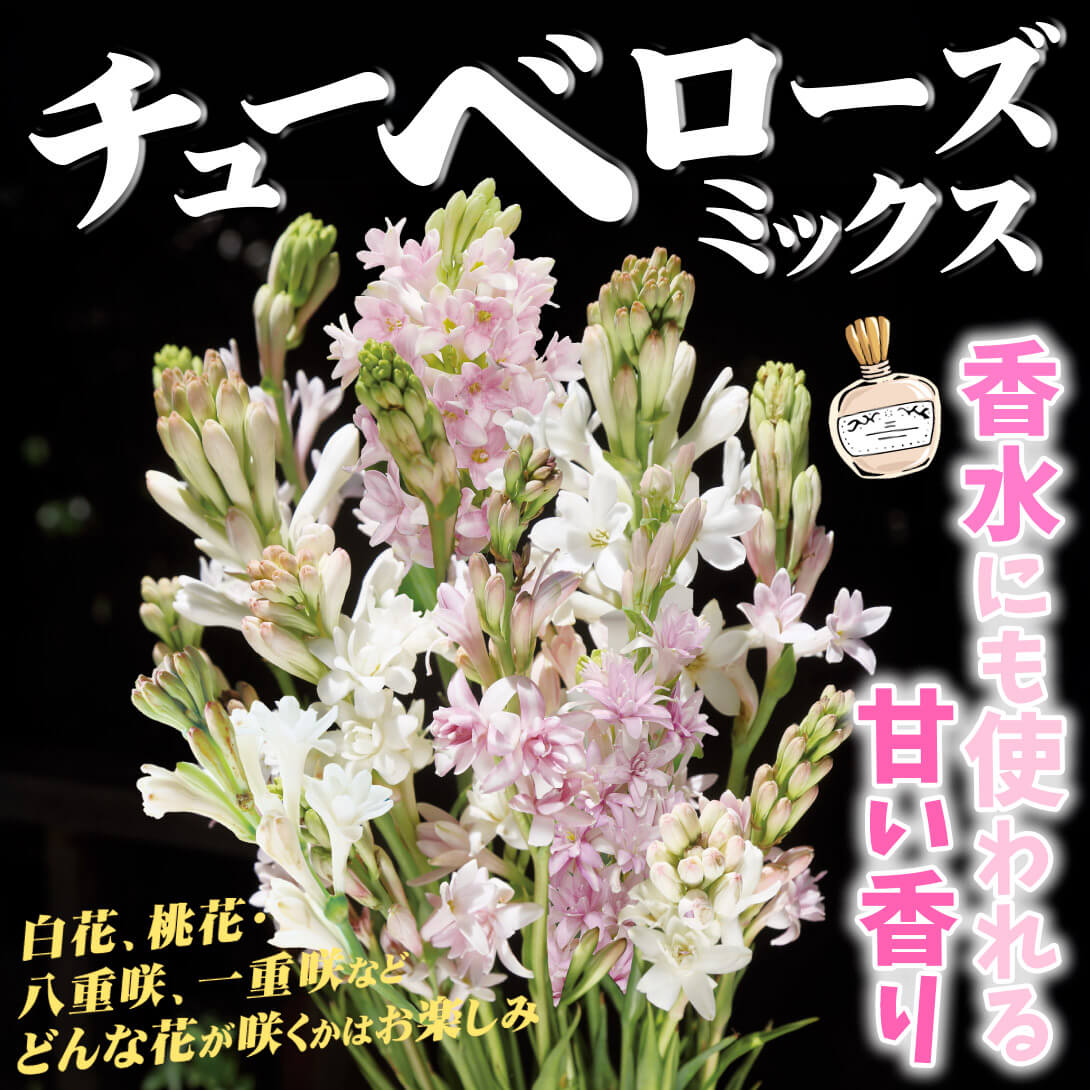 チューベローズミックス