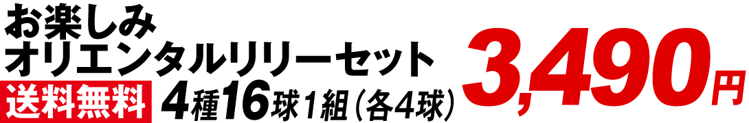 お楽しみオリエンタルリリーセット価格3490
