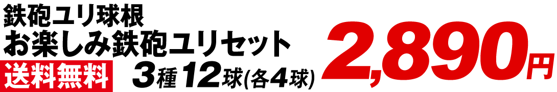 お楽しみ鉄砲ユリセット価格2890