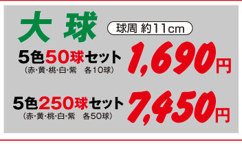 チューリップ大球5色セット
