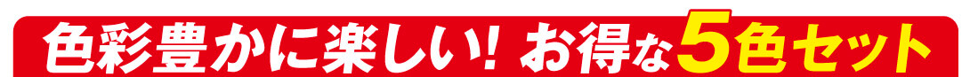 チューリップ5色セット帯