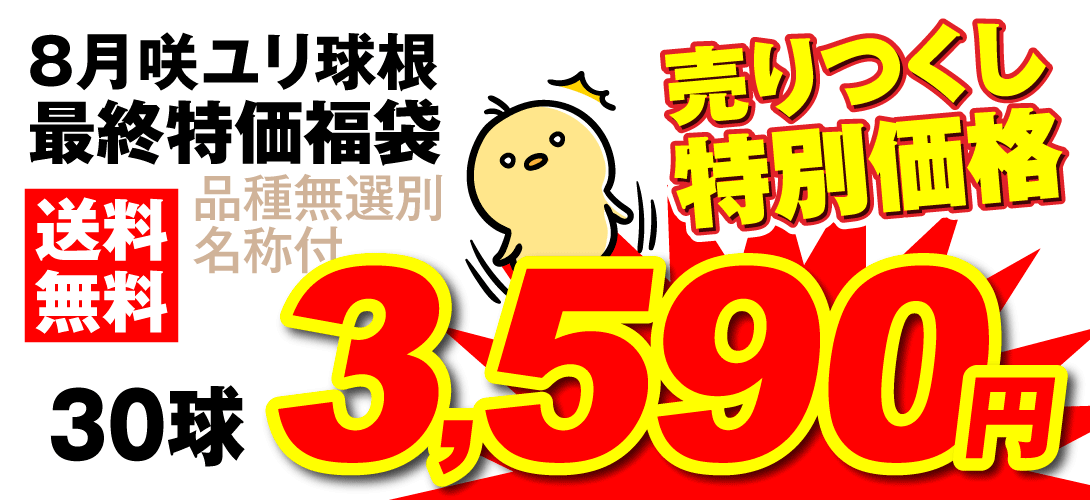 8月咲ユリ最終特価福袋_価格3590