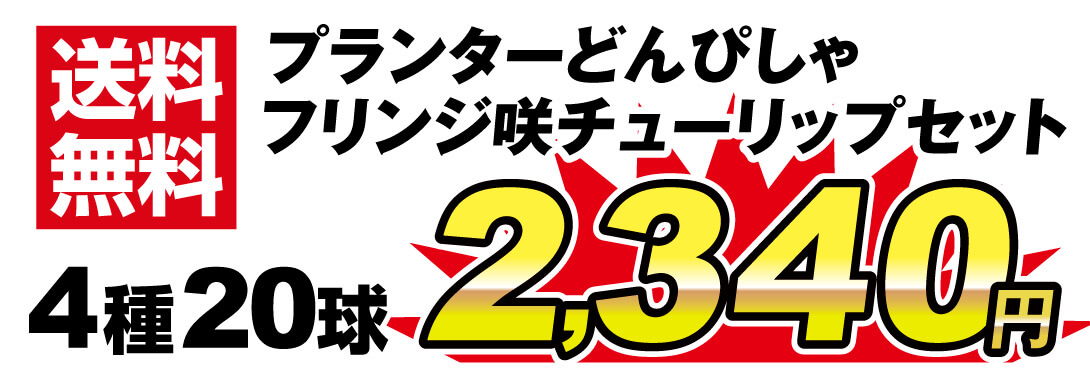 どんぴしゃフリンジ 値段2340円
