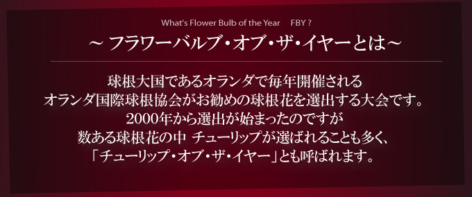 バルブオブザイヤーとは