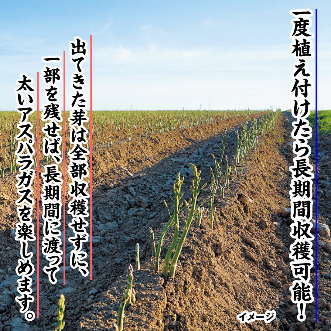 ウェルカム2年生特大株