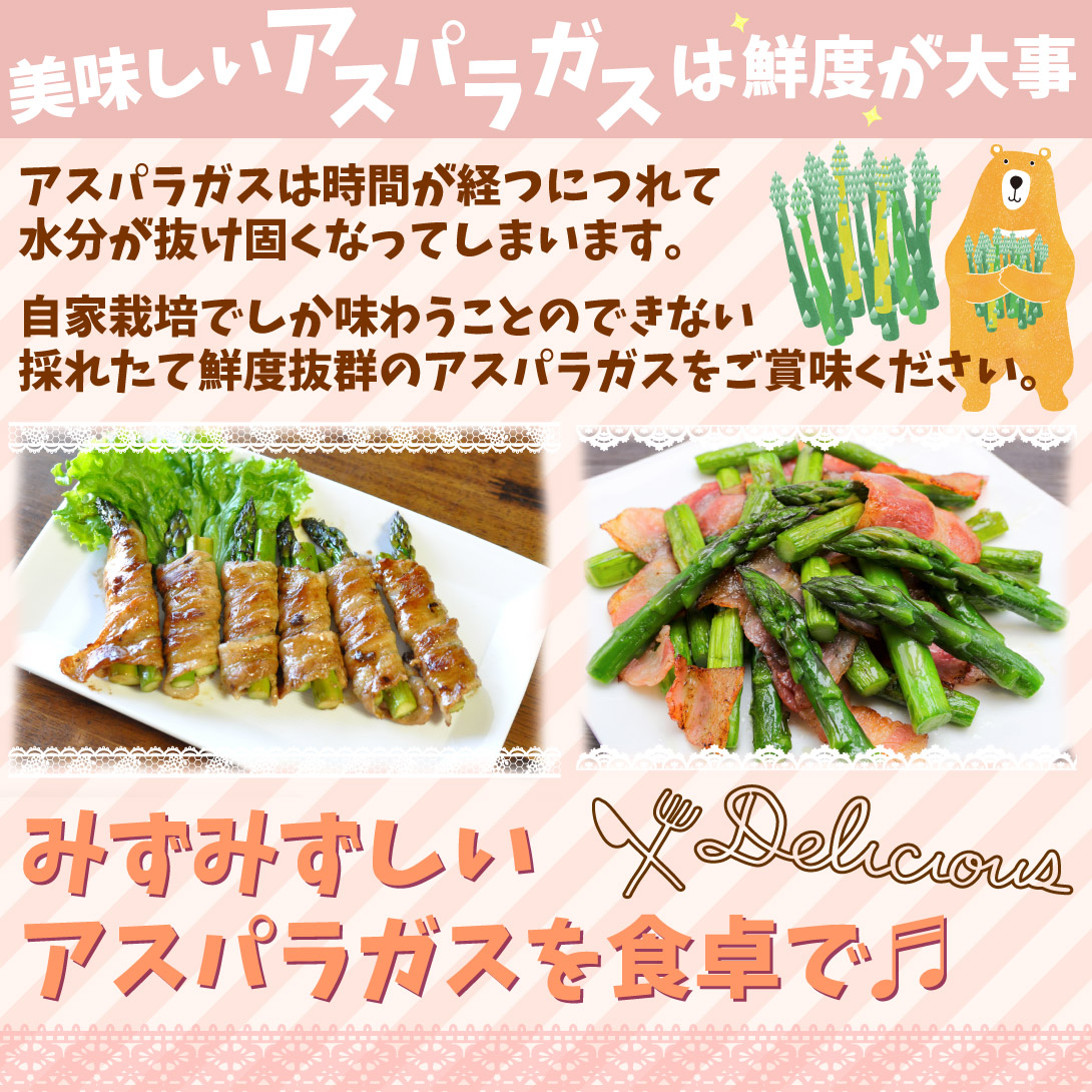 ウェルカム2年生特大株