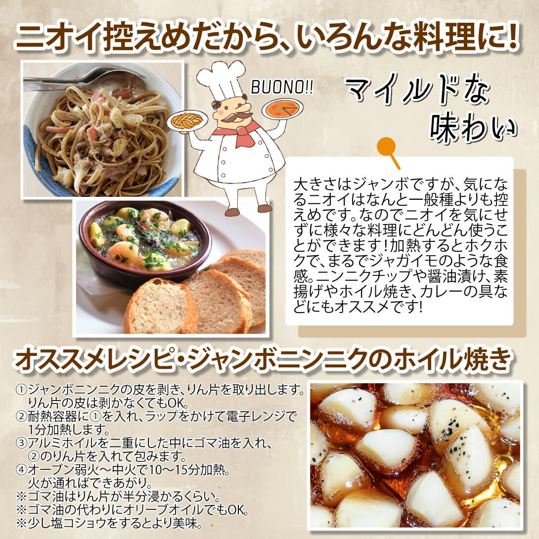 ジャンボニンニク