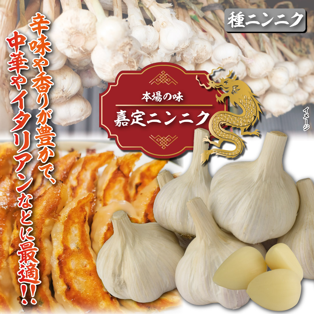 嘉定ニンニク