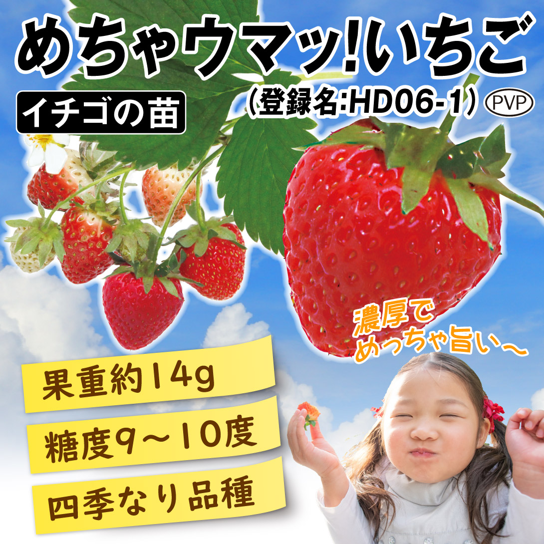 めちゃウマっ!いちごPVP
