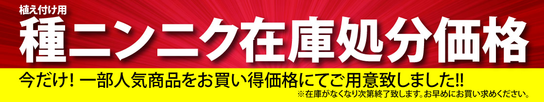 送料込み　ニンニク