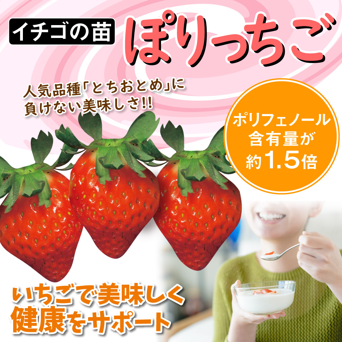 ぽりっちご