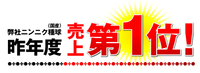 ホワイト六片(バラ)送料込み