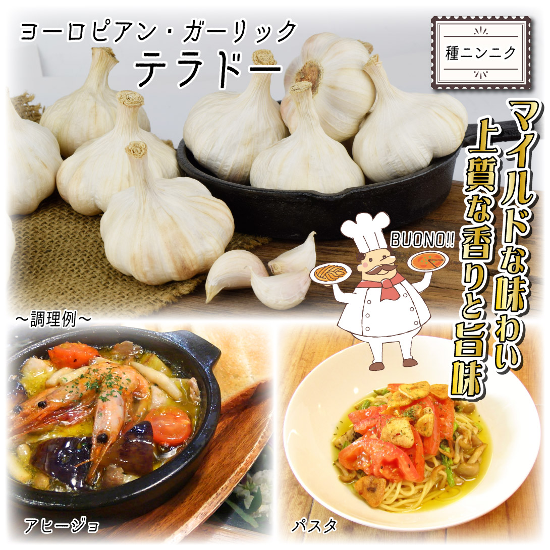 テラドー