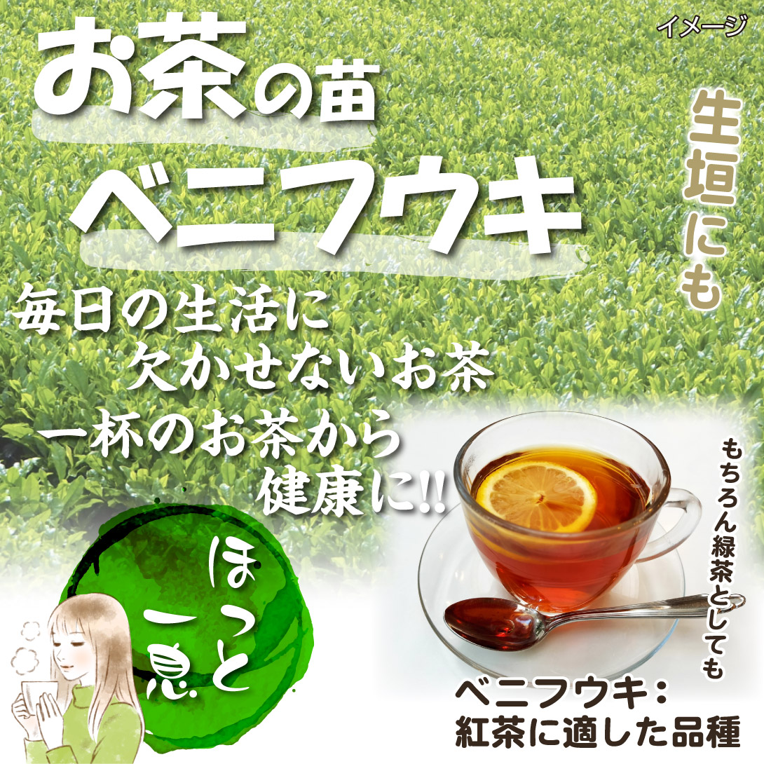 ベニフウキ