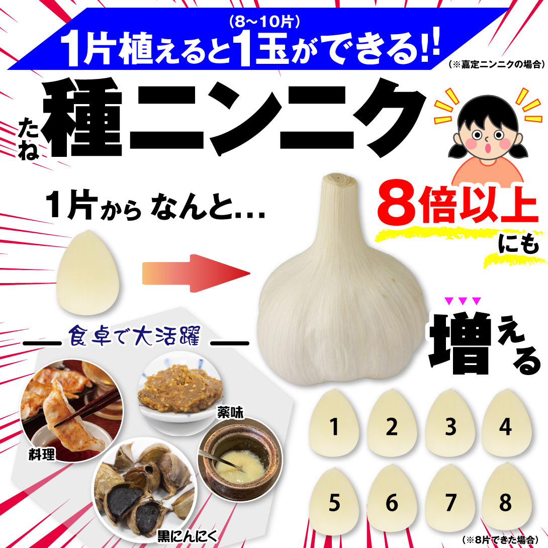 ニンニク増える