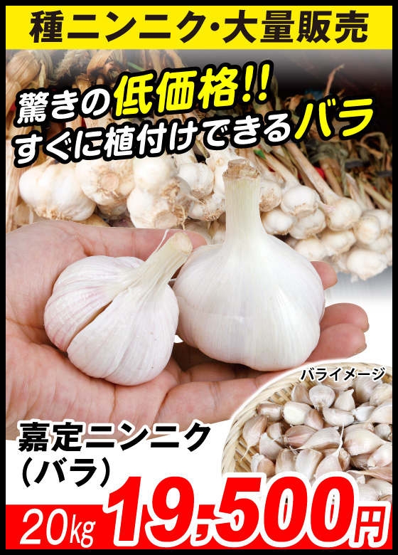 嘉定ニンニク・バラ