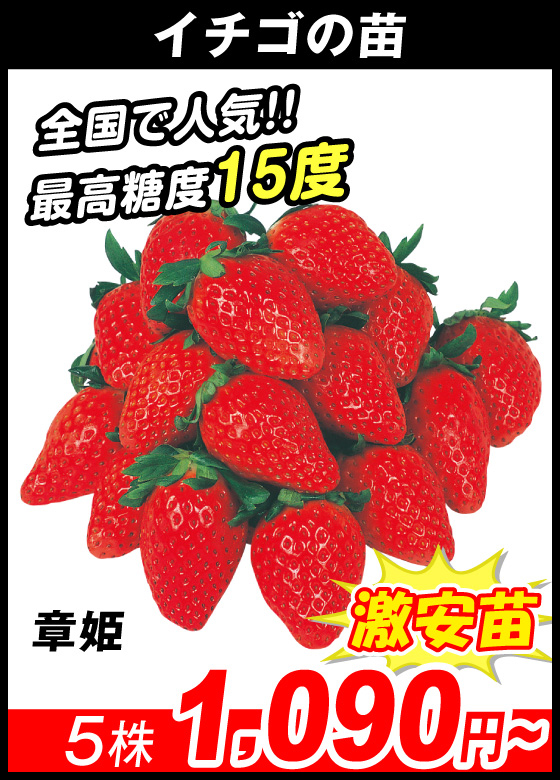章姫