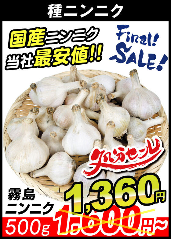 モラード