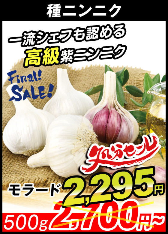 霧島ニンニク