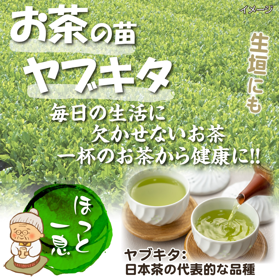 ヤブキタ