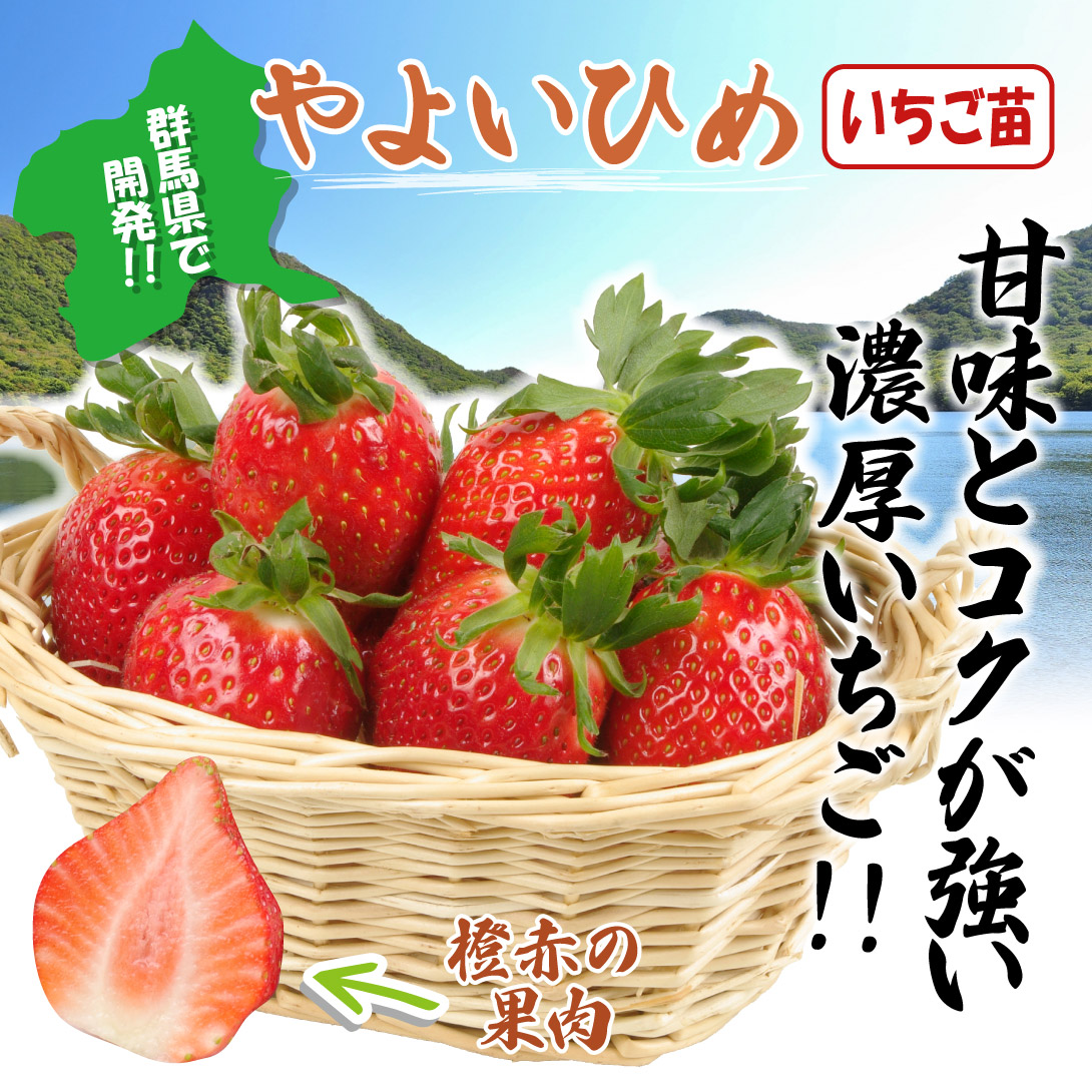 やよいひめ