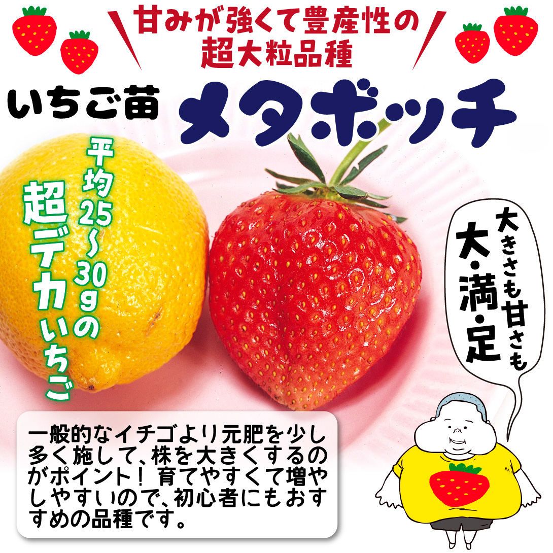 メタボッチ