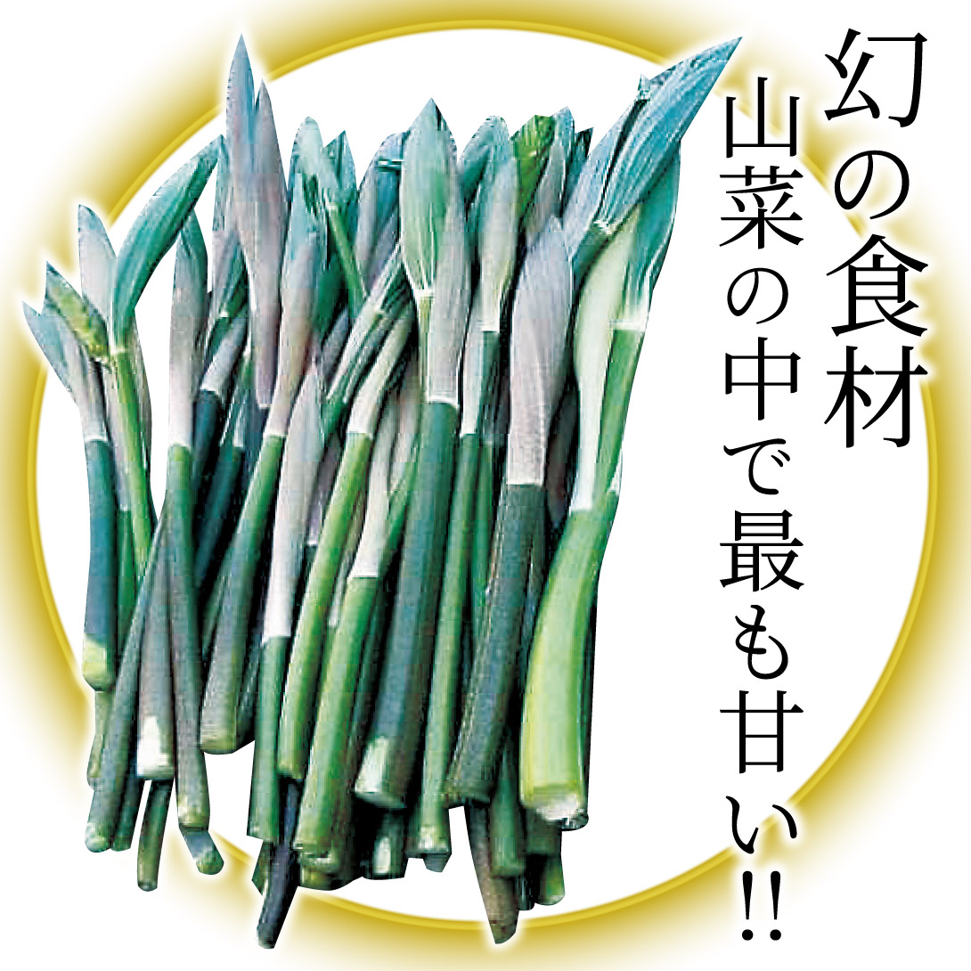 オオナルコユリ