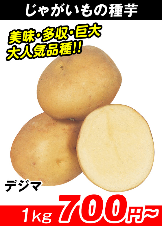 デジマ