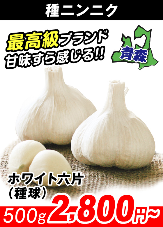 ホワイト六片・種球