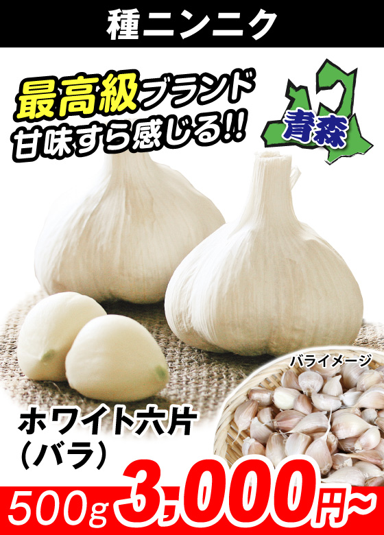 ホワイト六片・バラ