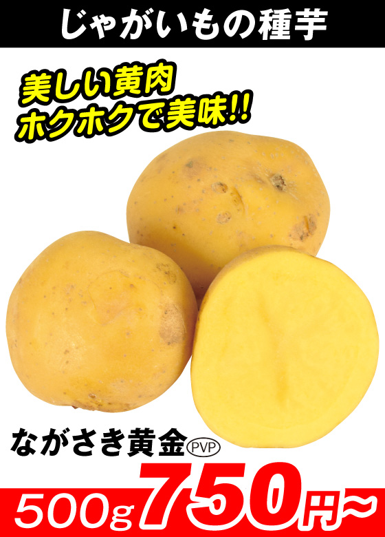 国華園オンラインショップ / 種じゃがいも