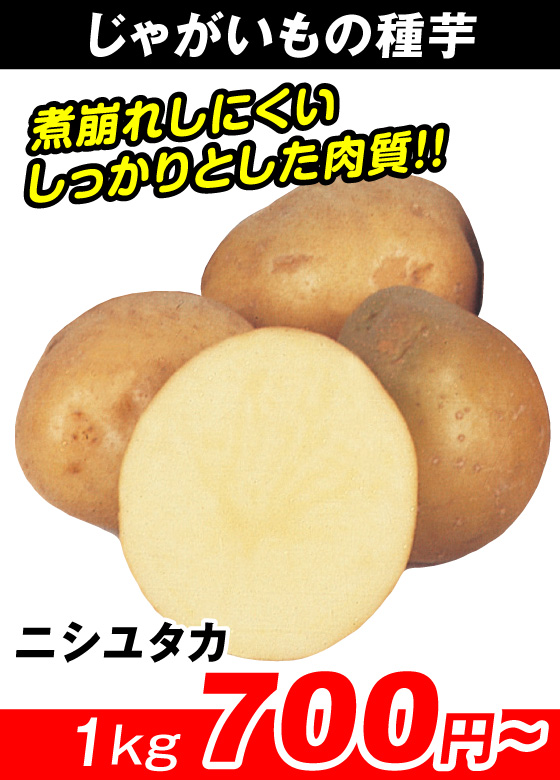 ニシユタカ