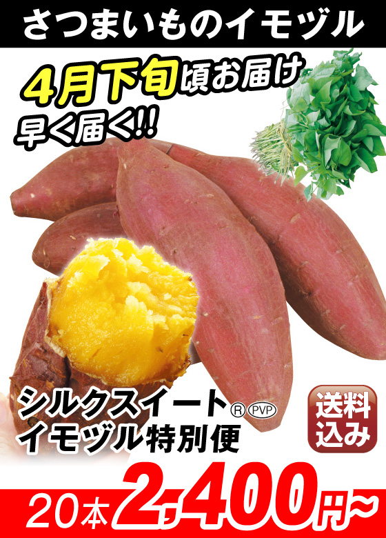 シルクスイート(R)PVP