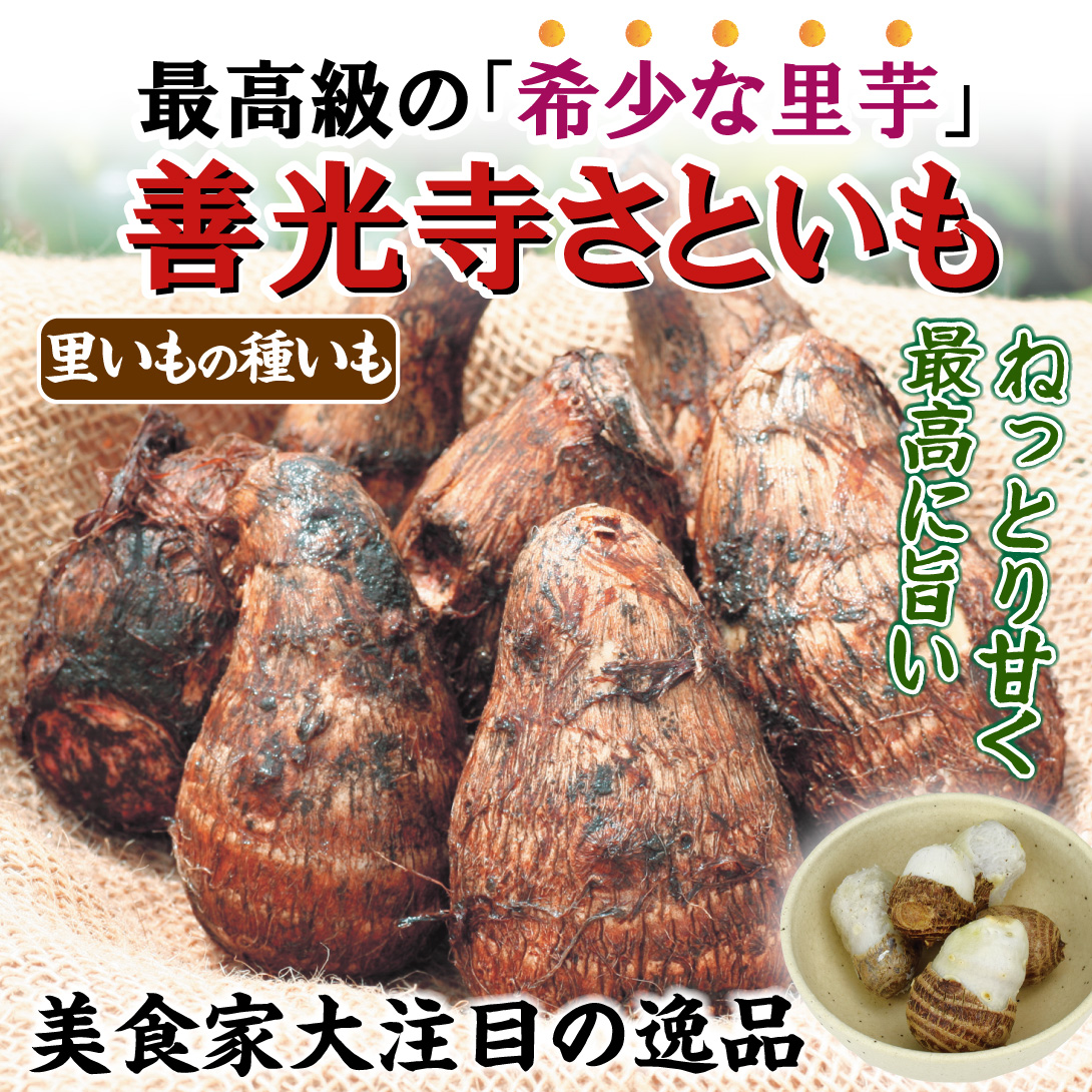 善光寺さといも