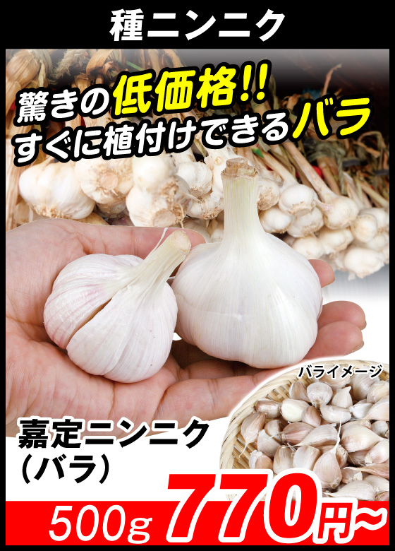 嘉定ニンニク・バラ