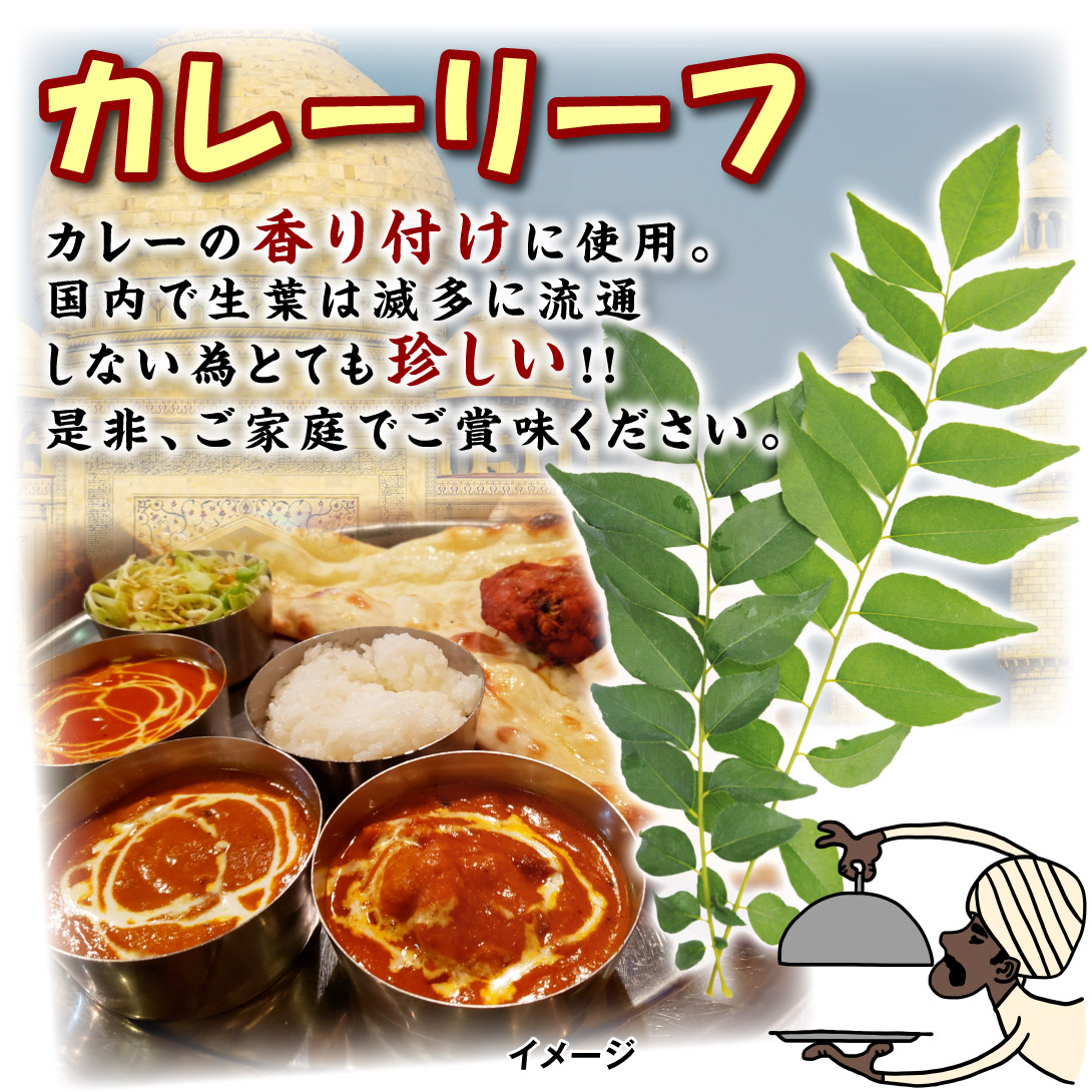 カレーリーフ