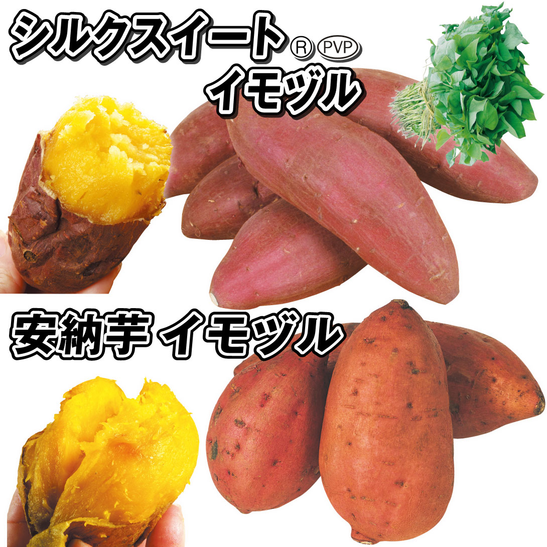 イモヅル特別便スペシャルセット