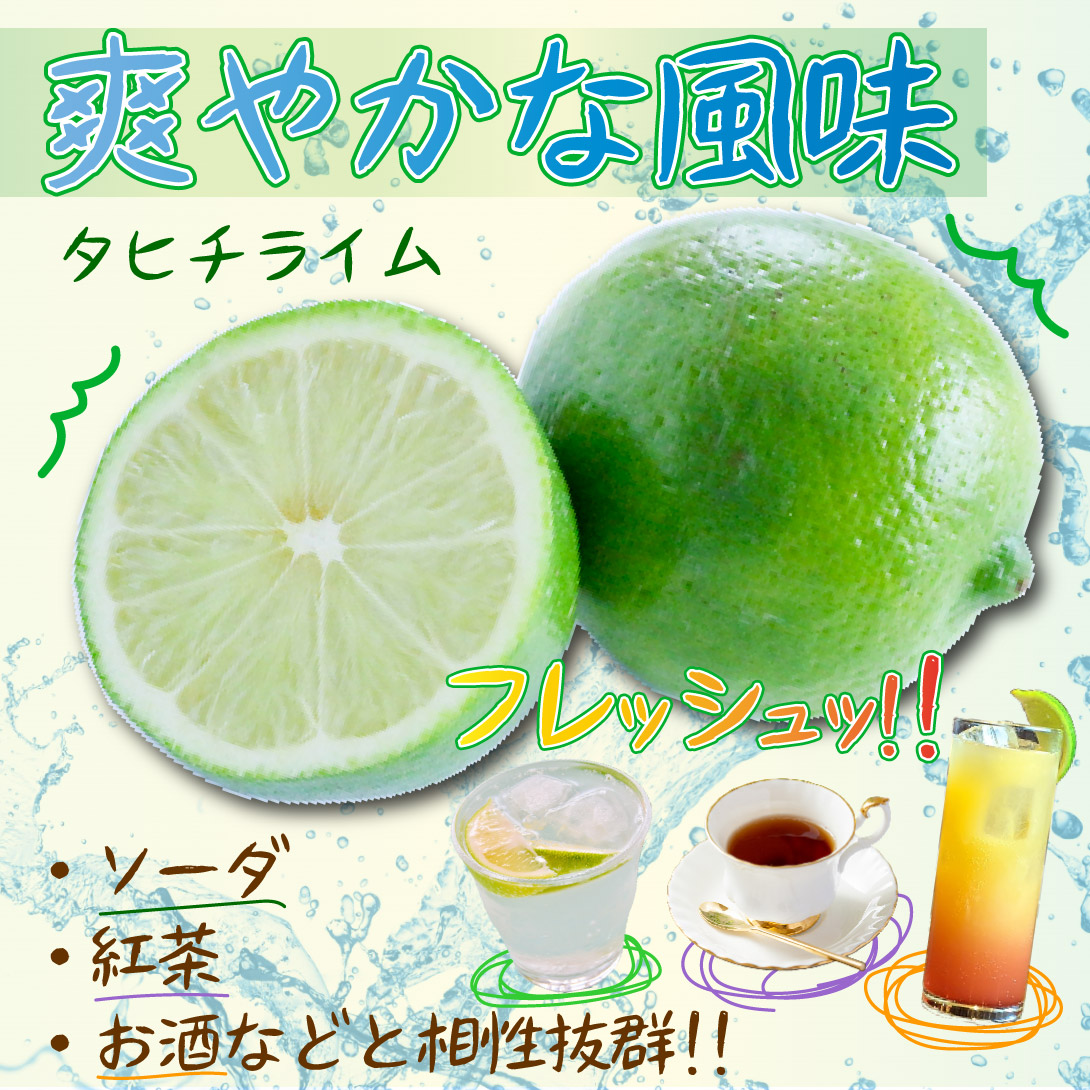 タヒチライム
