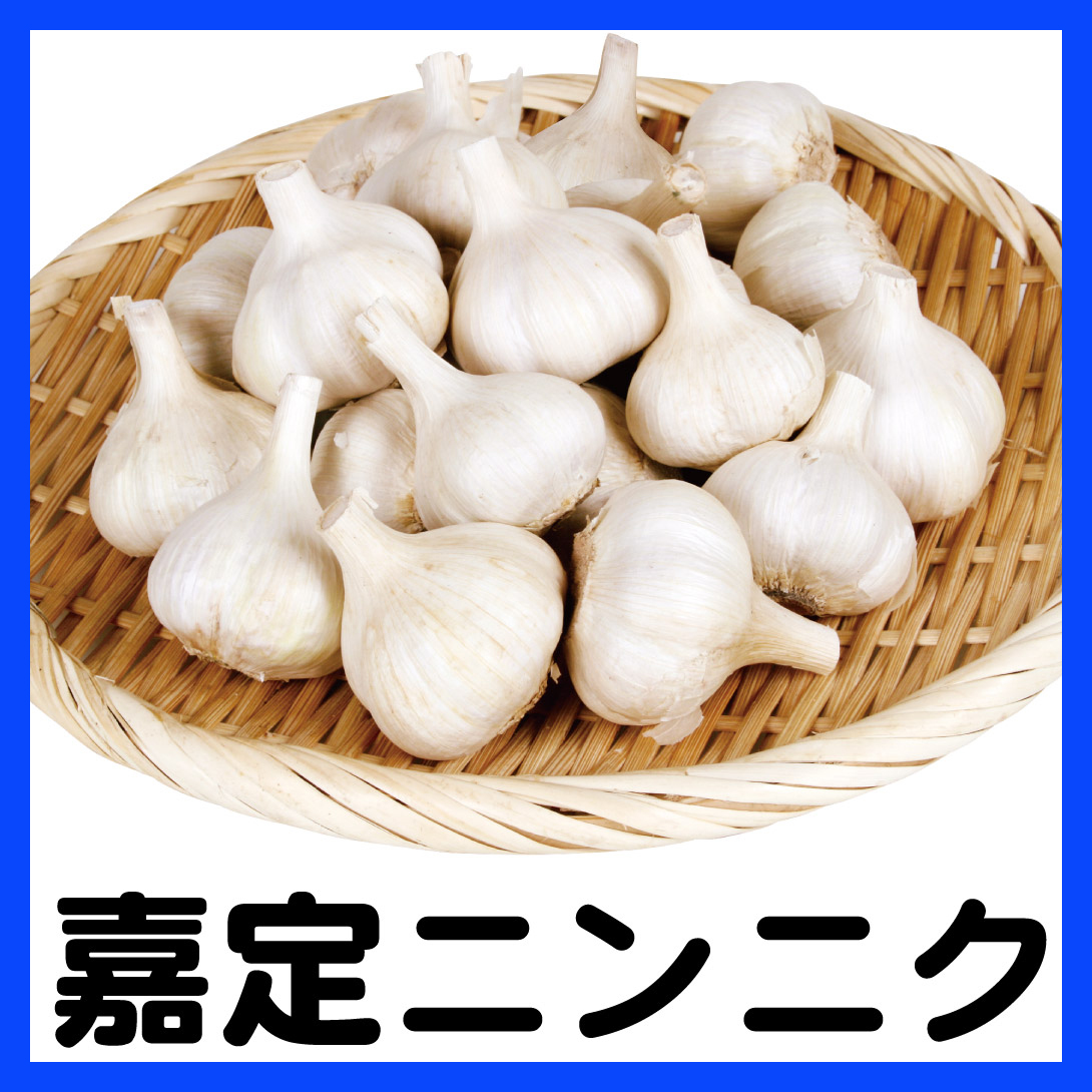 嘉定ニンニク