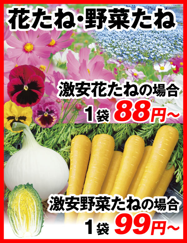 野菜たね・花たね