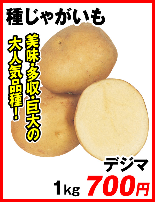 デジマ