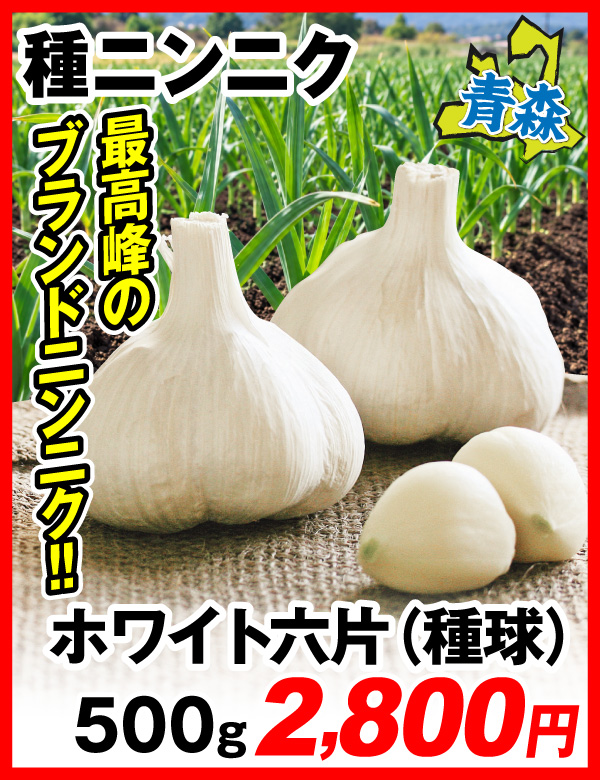ホワイト六片・種球