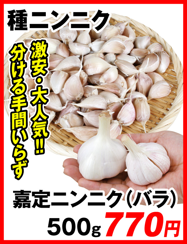 嘉定ニンニク・バラ