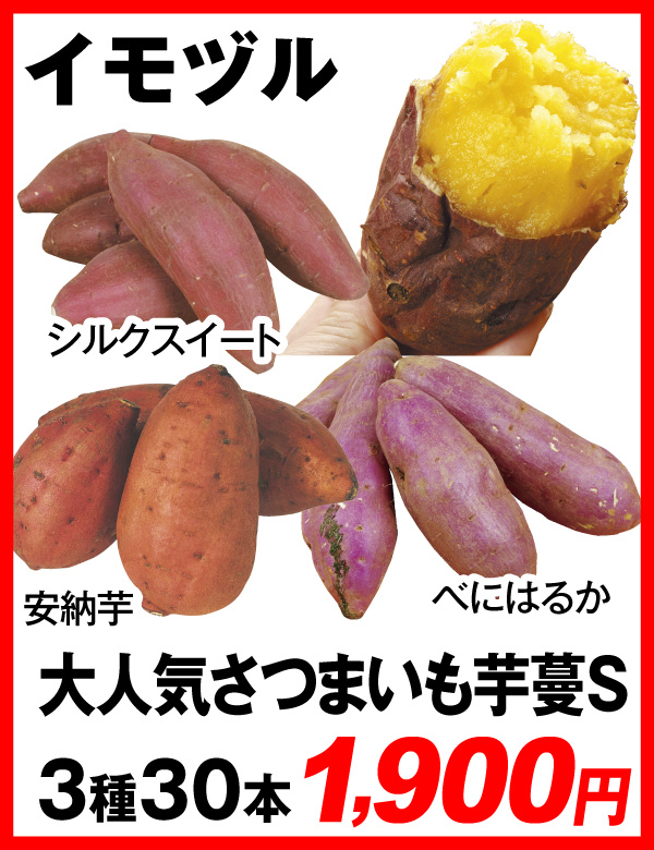 大人気さつまいも3種30株